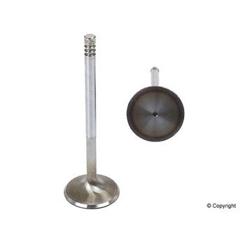 Porsche Engine Intake Valve - AE