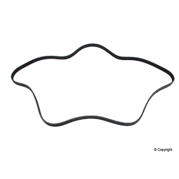 Porsche Serpentine Belt - Continental