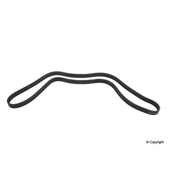 Porsche Serpentine Belt Continental Air Conditioning, Alternator, Power Steering and Water Pump