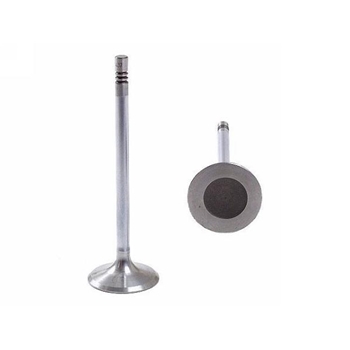 Porsche Intake Valve Boxster -