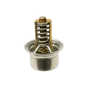 Thermostat (81 deg. C) - 9GT121113A