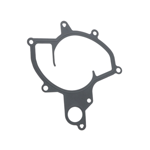 Water Pump Gasket - 99710634090
