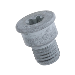 Brake Disc Set Screw (12 X 19.3 mm Torx) - PAF910282