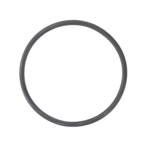 Thermostat Seal - WHT000863
