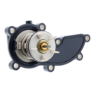 Thermostat - 95810603202
