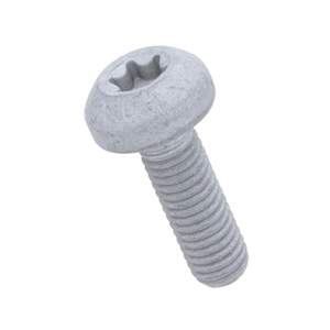 Drive Belt Tensioner Bolt (8 X 25 mm) - N10742702