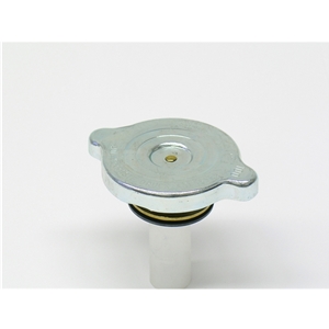 Expansion Tank Cap - 92810625703