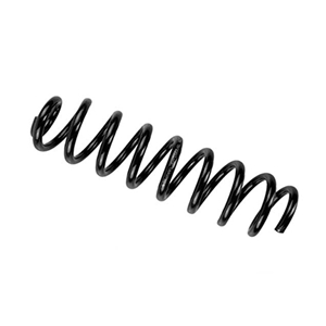 Coil Spring - 2513210304