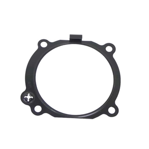 Throttle Housing Gasket - 273141068005