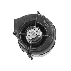 Blower Motor - 321819015