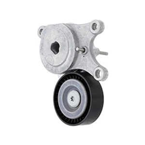 Drive Belt Tensioner - Includes Pulley - 2602003900