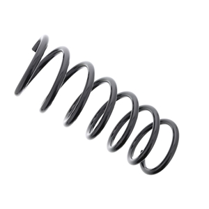 Coil Spring - 31280483
