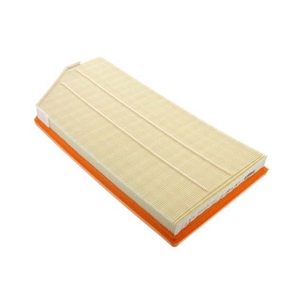 Timing Chain Guide Rail