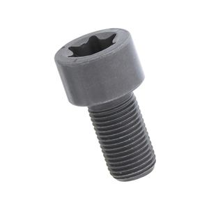 Crankshaft Bolt - Starter Ring Gear to Crankshaft (10 X 18.5 mm Torx Head) - 007990510464