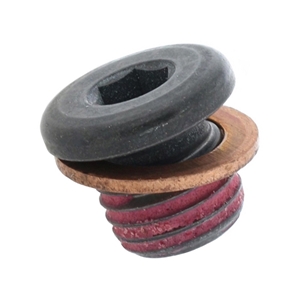 Torque Converter Drain Plug - 0019901117