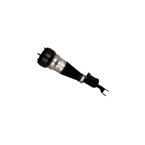 Air Suspension Strut - 222320811389
