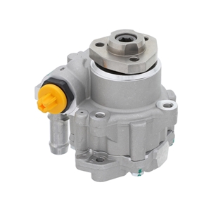 Power Steering Pump - 6N0145157X