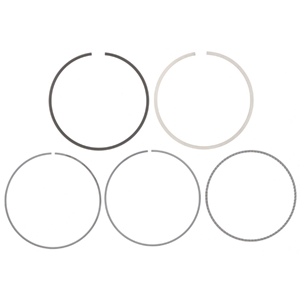 Piston Ring Set - 2700300124