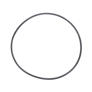 AWD Coupling Housing O-Ring (119.5 X 3 mm) - 925263