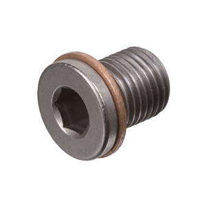 Engine Oil Drain Plug (14 X 17 X 1.5 mm) - N91086801