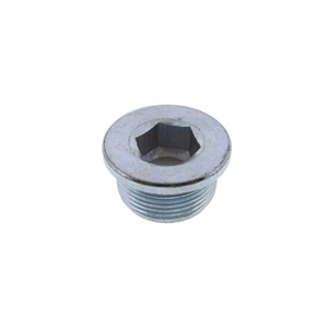 Engine Oil Drain Plug (26 mm Shaft Diameter) - 1309970032