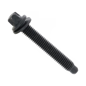 Fuel Injection Fuel Rail Screw (M5 X 30mm) - 13538661716