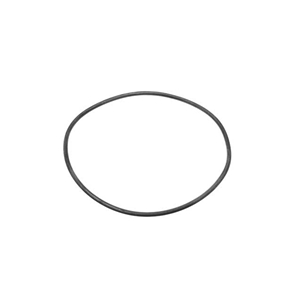 Transmission O-Ring - Governor Cover - 0169973948