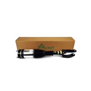 Air Suspension Strut - 1663205066
