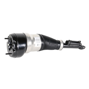 Air Suspension Strut - 2223201900