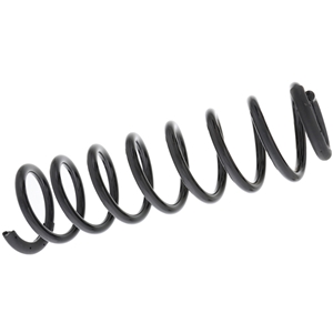 Coil Spring - 2113210404