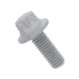 Serrated Head Bolt (6 X 16 X 1.0 mm) (E10) - 910143006001