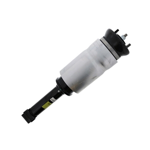 Shock Absorber (Air Spring Assembly) - RNB501580