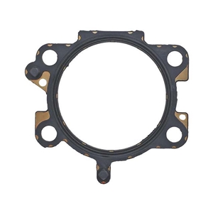 Throttle Housing Gasket - C2Z28265