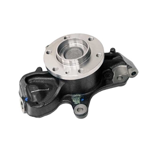 Steering Knuckle with Wheel Hub and Bearing - 9063304920