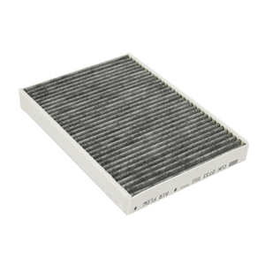 Cabin Air Filter - T2R56839
