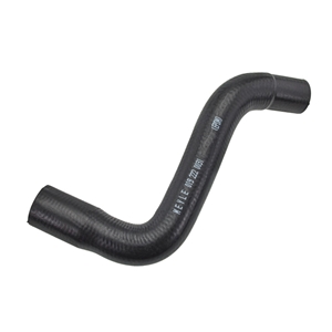 Expansion Tank Hose - Tank to Radiator - 9065010682