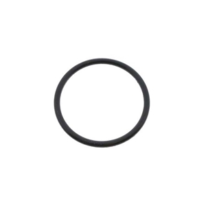 Fuel Tank Sending Unit O-Ring - 949276