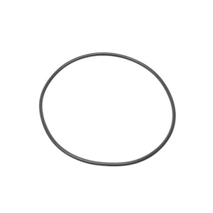 Oil Pump O-Ring - 9130600