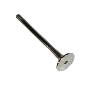 Exhaust Valve - 9165598