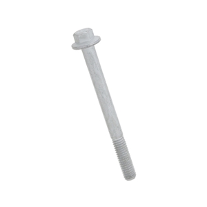 Vacuum Pump Bolt (6 X 65 mm) - C2Z30121