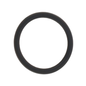 Camshaft Position Sensor O-Ring - 0169979945