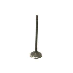 Exhaust Valve - NCA2532AA
