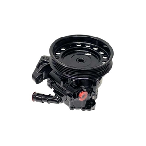Power Steering Pump (Rebuilt) - 36002409