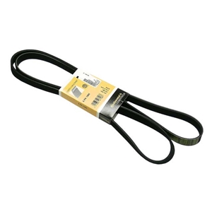 Belt - 6K X 1980 - 008997739264