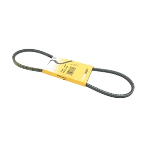 Belt 10 X 920 - 973537