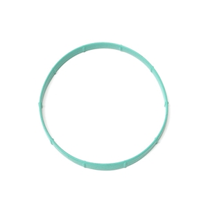 Intake Manifold Gasket - AJ87991