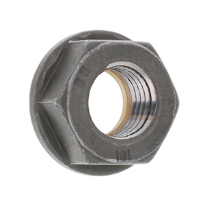 Steering Box Nut - Steering Worm Shaft - 0009904050