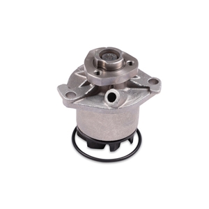 Water Pump (New) - 021121004