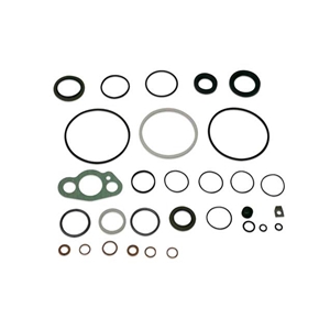 Seal Kit - Power Steering Box - 1094600261
