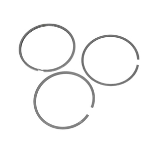 Piston Ring Set - Standard (81.00 mm) - 021198151